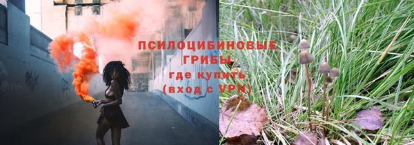 бошки Алзамай